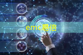 emc易倍体育官方入口：凤凰智慧城市项目