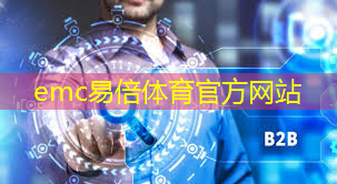 emc易倍体育官方网站：【2024】人工智能AI 芯片方案：谁主沉浮？（4／5）